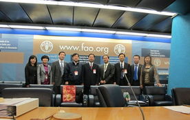 技術(shù)推廣服務(wù)中心 驅(qū)動(dòng)創(chuàng)新與產(chǎn)業(yè)升級(jí)的核心引擎